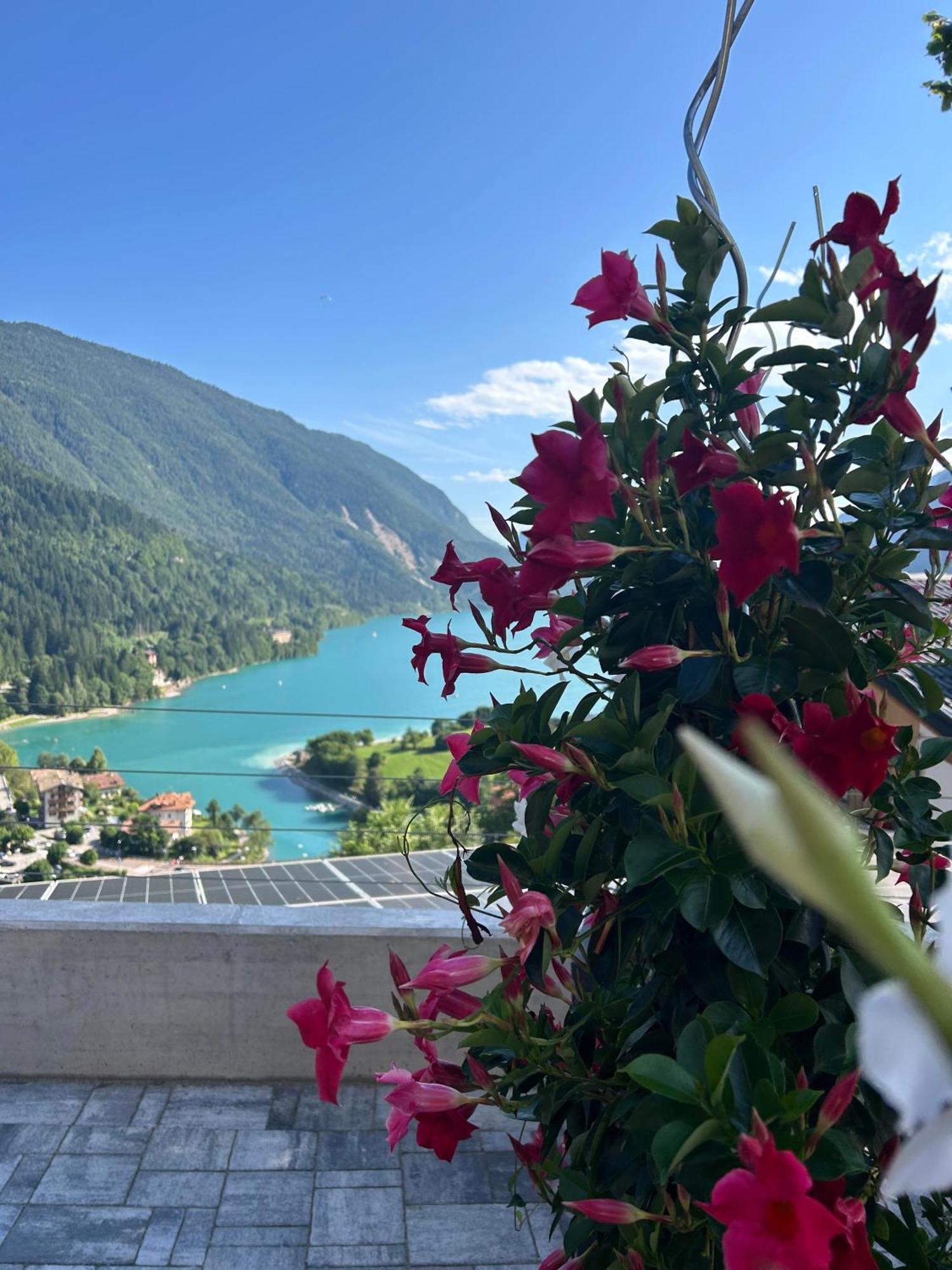 Hotel Aurora Molveno Exteriör bild