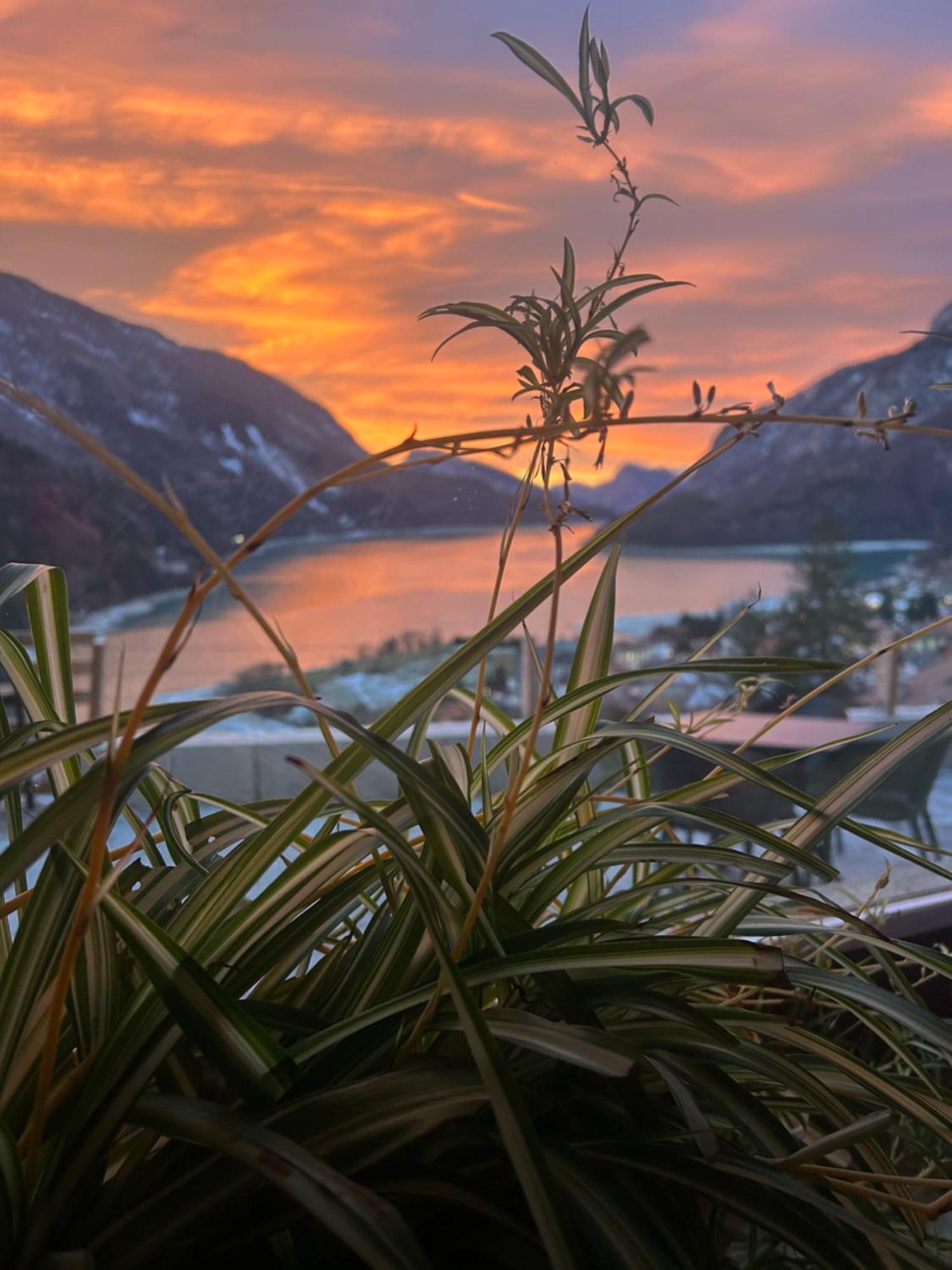 Hotel Aurora Molveno Exteriör bild